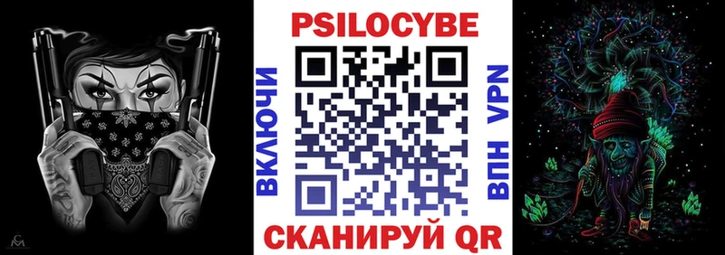 Псилоцибиновые грибы Psilocybe  Заозёрный 